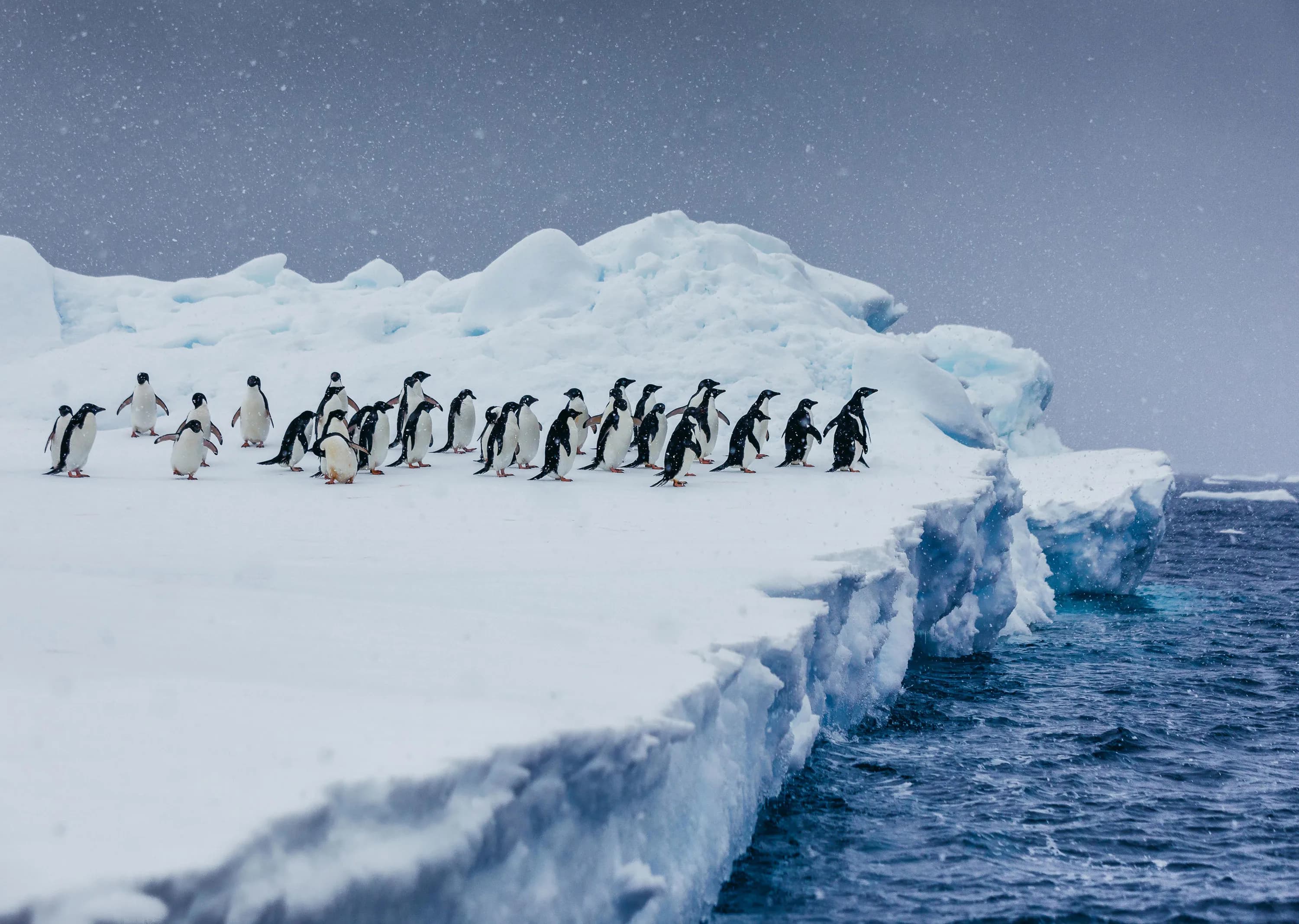 Antarctica By Helicopter: Icebergs, Mountains and Remote Lands​