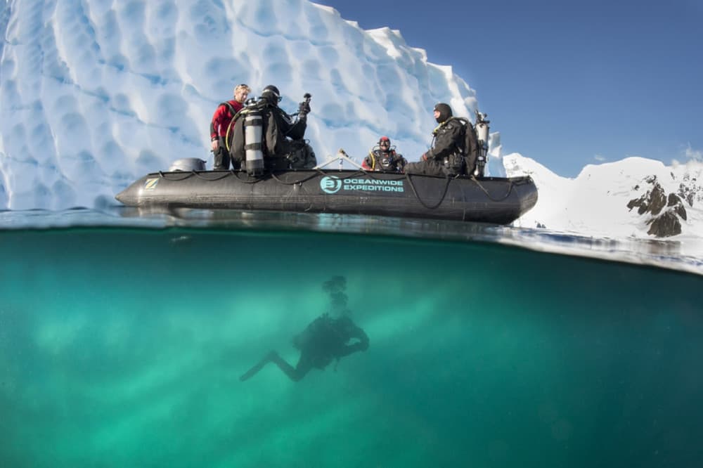 Oceanwide Expeditions Polar Diving .jpeg