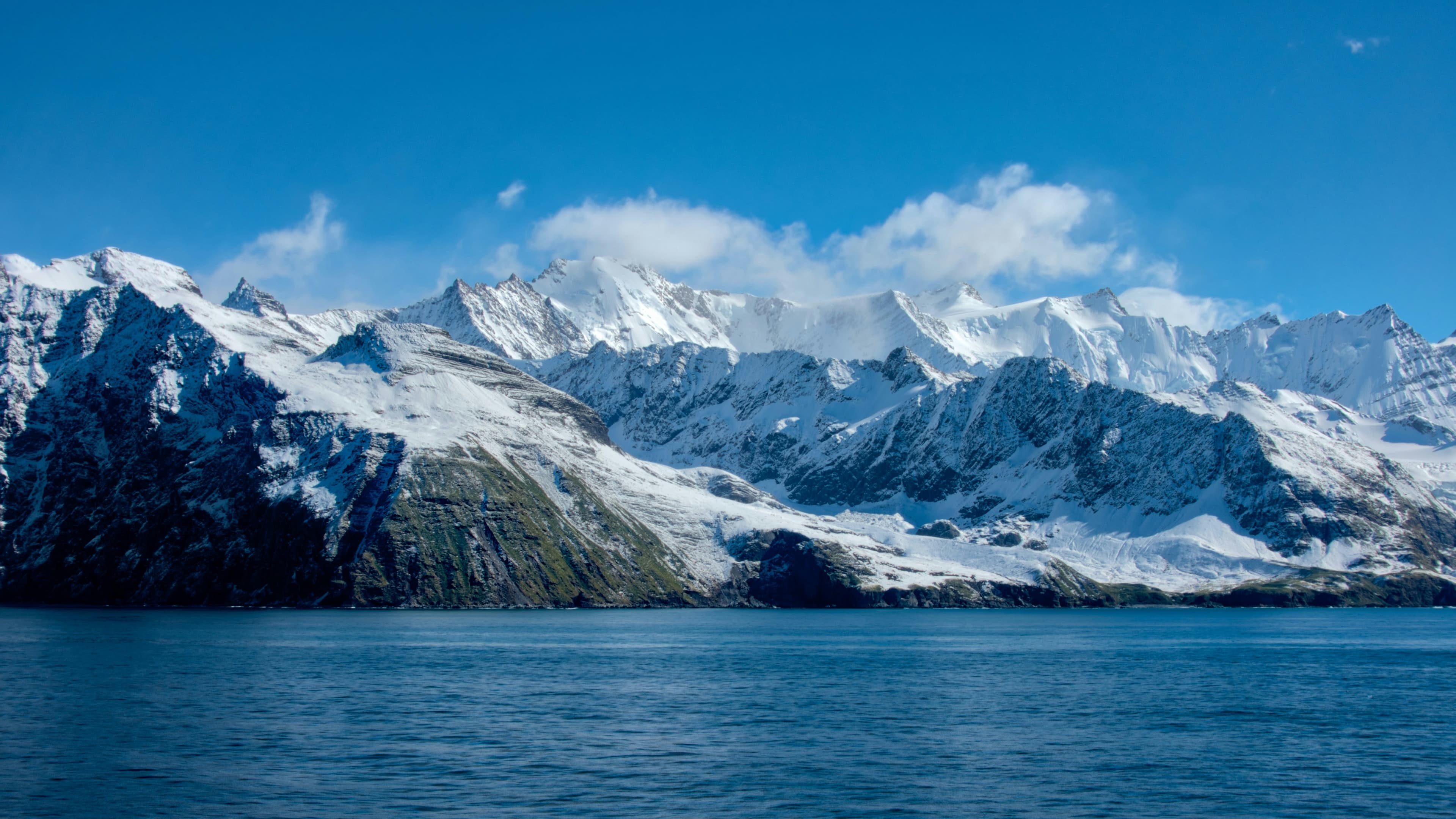 Falklands, South Georgia & Antarctic Peninsula