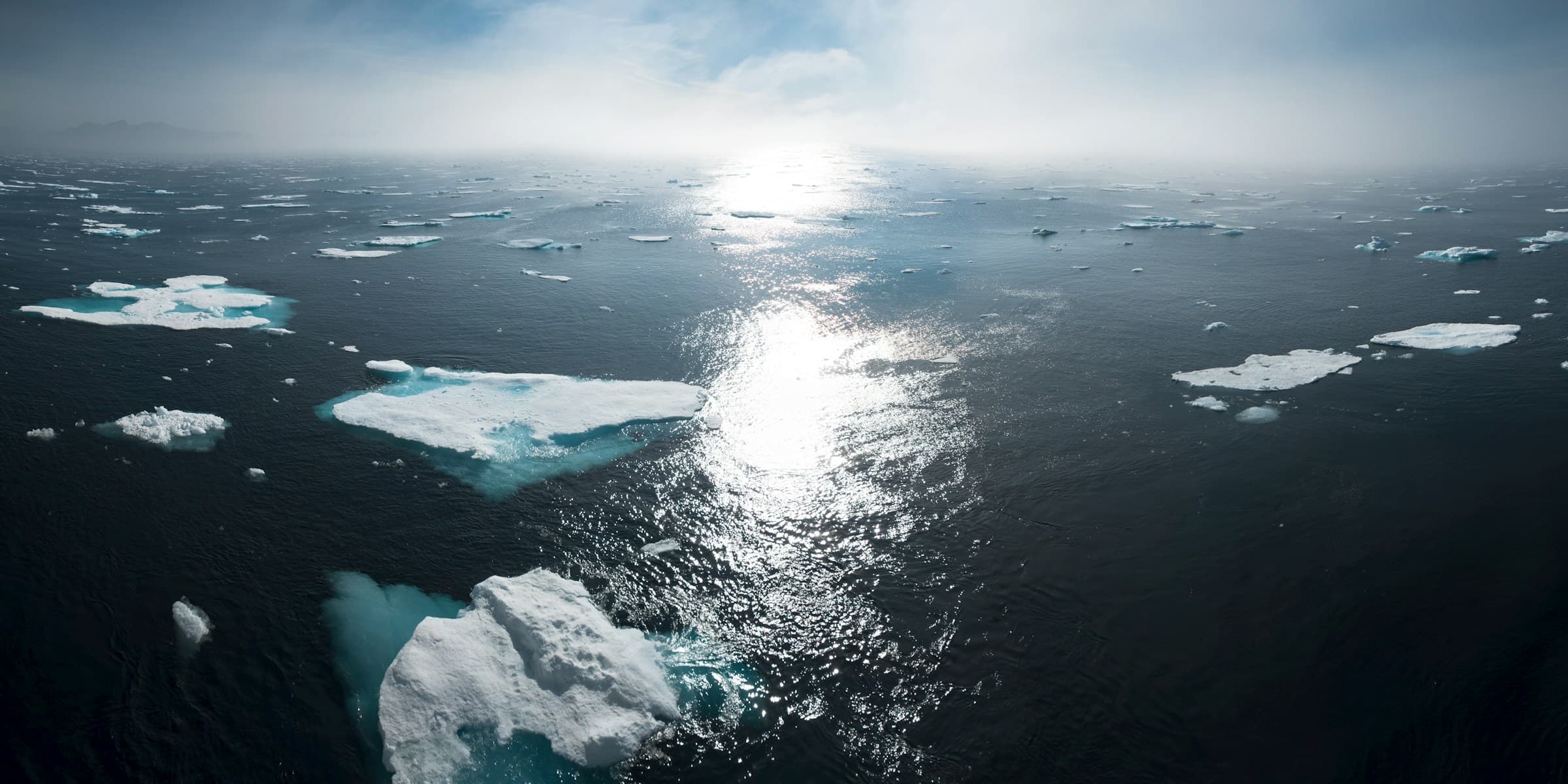 Northeast Greenland's unexplored sea ice