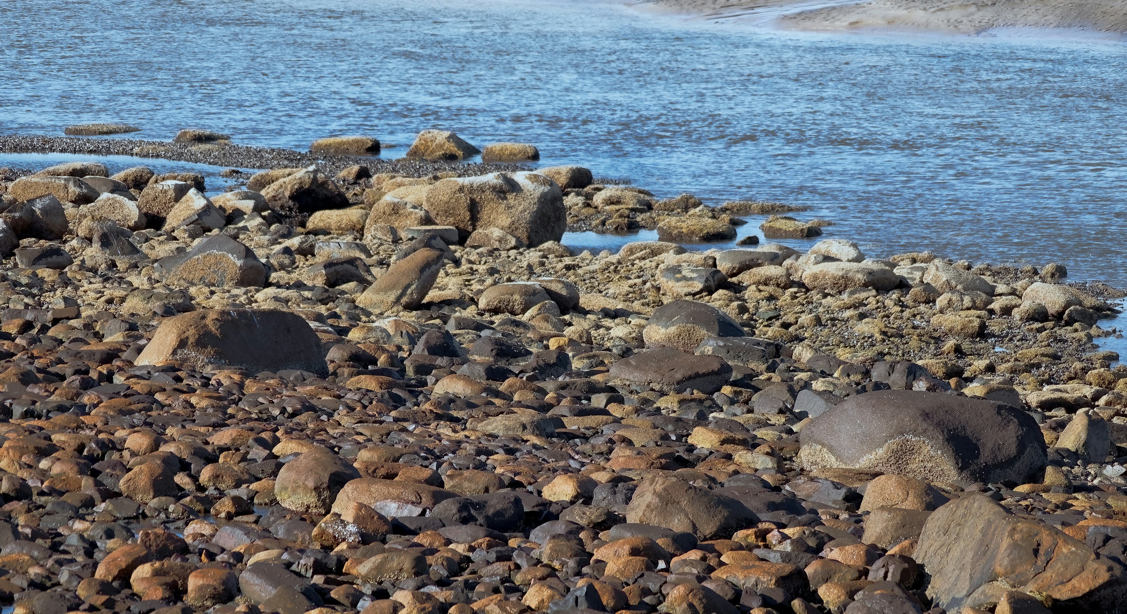 26-day all-inclusive Northwest Passage expedition cruise from Seattle to Copenhagen