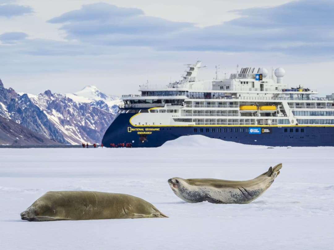 Ng Le Ng Endurance Wildlife Antarctica ©Lindblad Expeditions Ralph Lee Hopkins