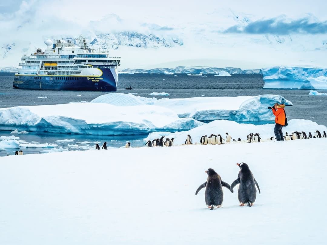 Ng Le Ng Resolution Wildlife Penguins Citizen Science ©Lindblad Expeditions Ralph Lee Hopkins 0