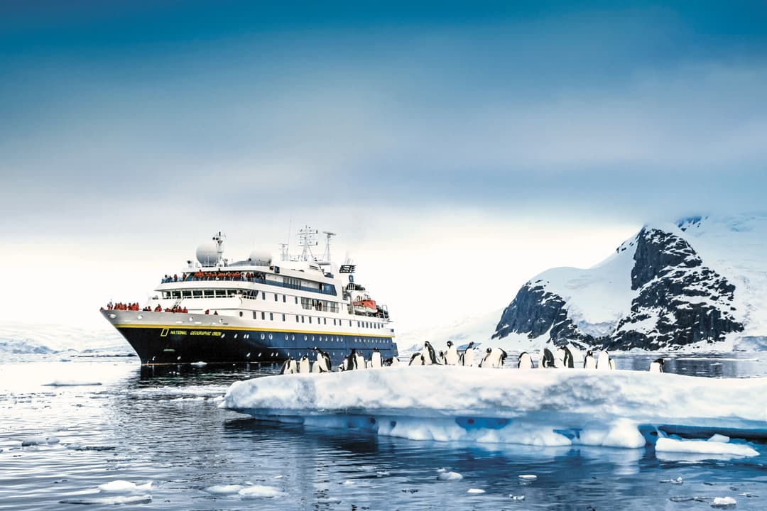 Ng Le Ng Orion Wildlife Penguins ©Lindblad Expeditions Ralph Lee Hopkins 5