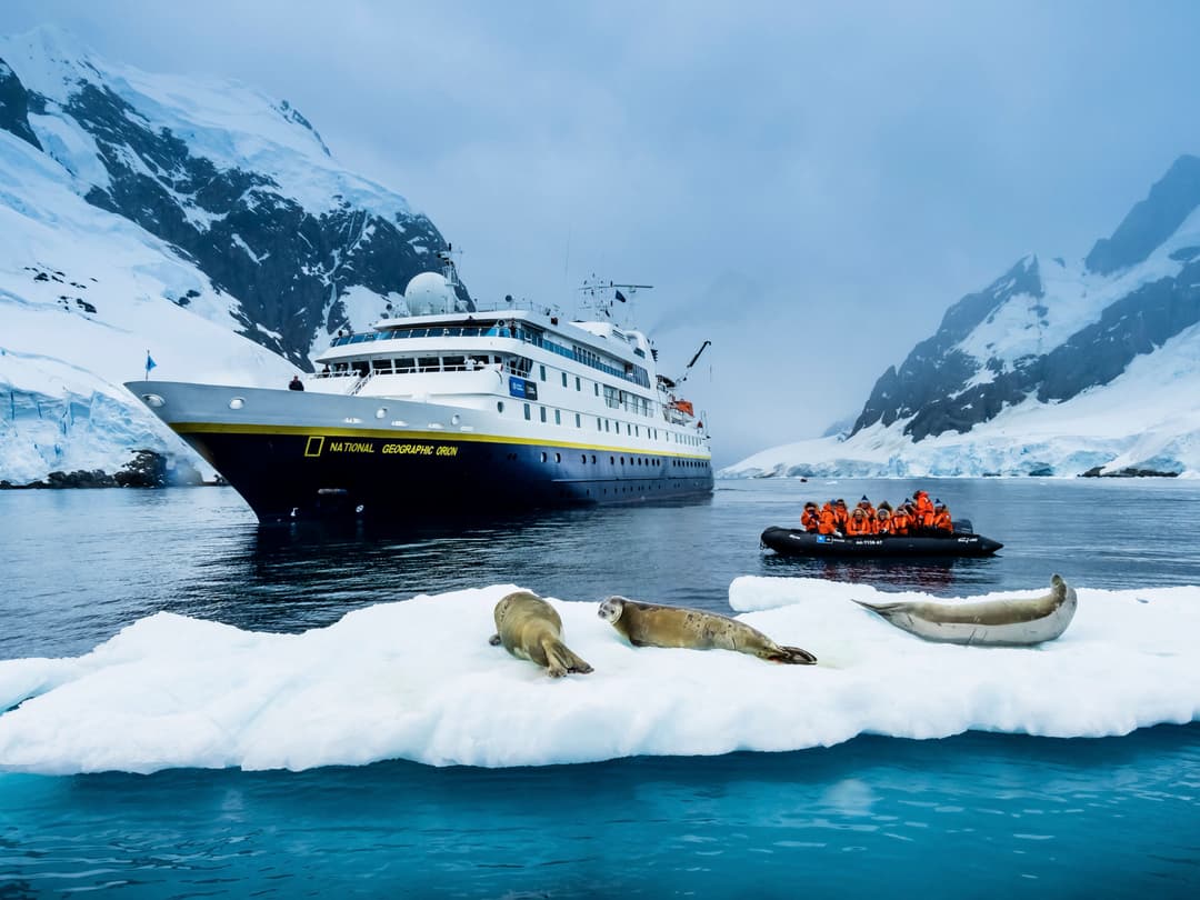 Ng Le Ng Orion Zodiacs Wildlife ©Lindblad Expeditions Ralph Lee Hopkins