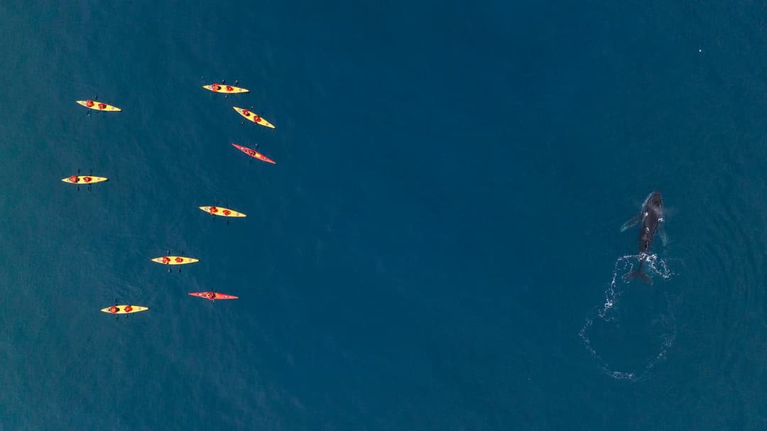 Seabourn Venture Kayaks 2