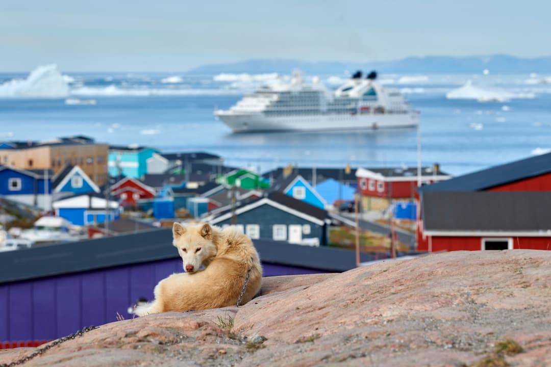 Seabourn Quest Dog, Credit. Mike Louagie