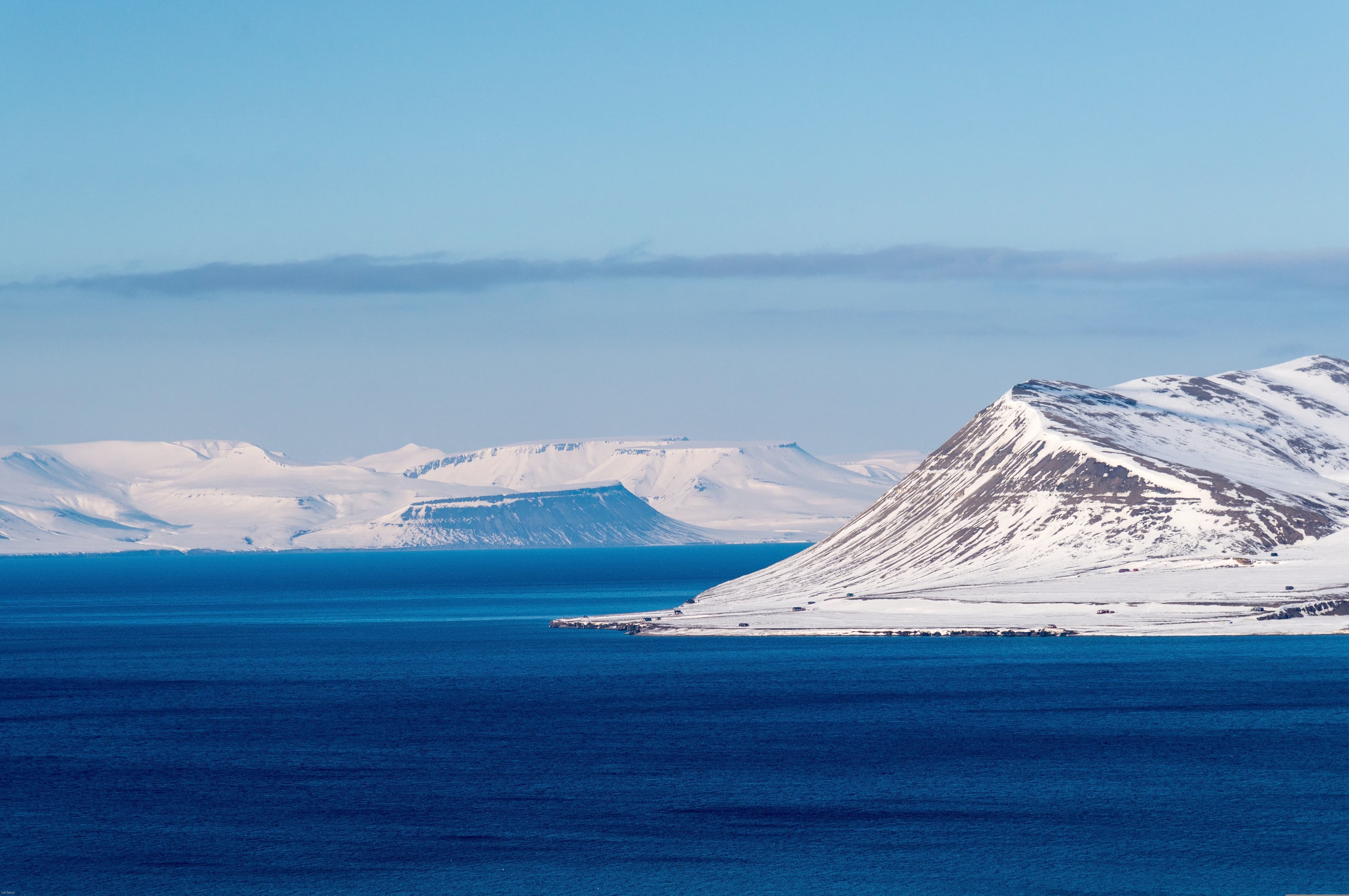 Arctic Ocean - Fair Isle, Jan Mayen, Ice Edge, Spitsbergen, Birding Special