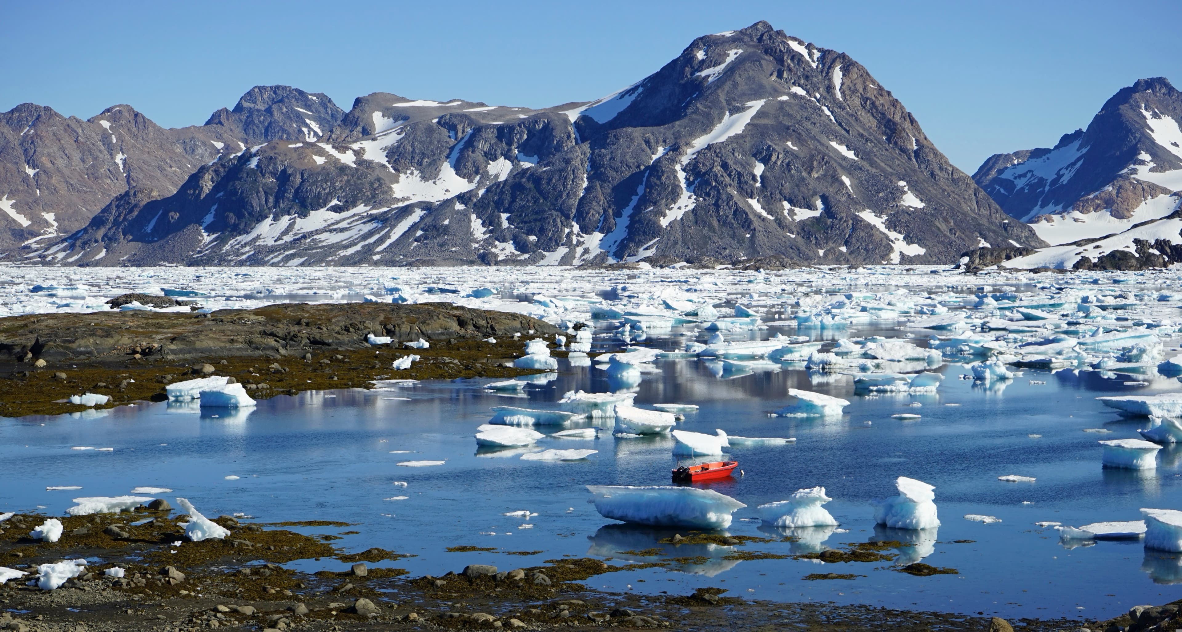 Northeast Greenland's unexplored sea ice