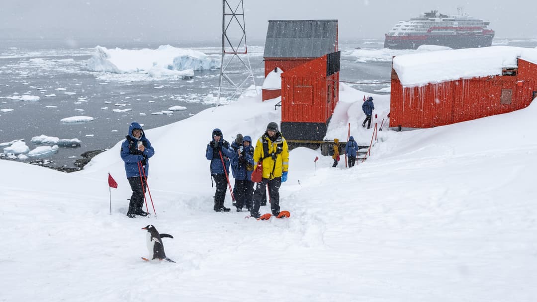 Hx Hurtigruten Expeditions, Ms Fridtjof Nansen, Antarctica Peninsula Brown Station ©Ted Gatlin
