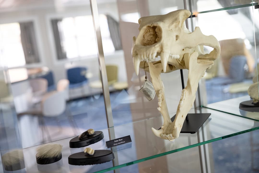 Hx Hurtigruten Expedition, Ms Spitsbergen, Science Centre 6