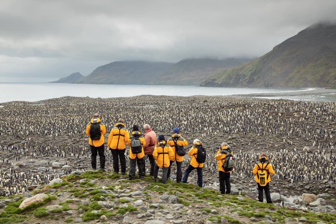 Quark Expeditions, Hiking In Antarctica 3 ©Michelle Sole