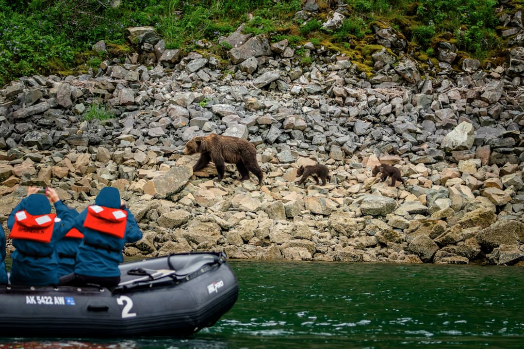Hx Expeditions Team Alaska Katmai National Park Brown Bears ©Oscar Farrera