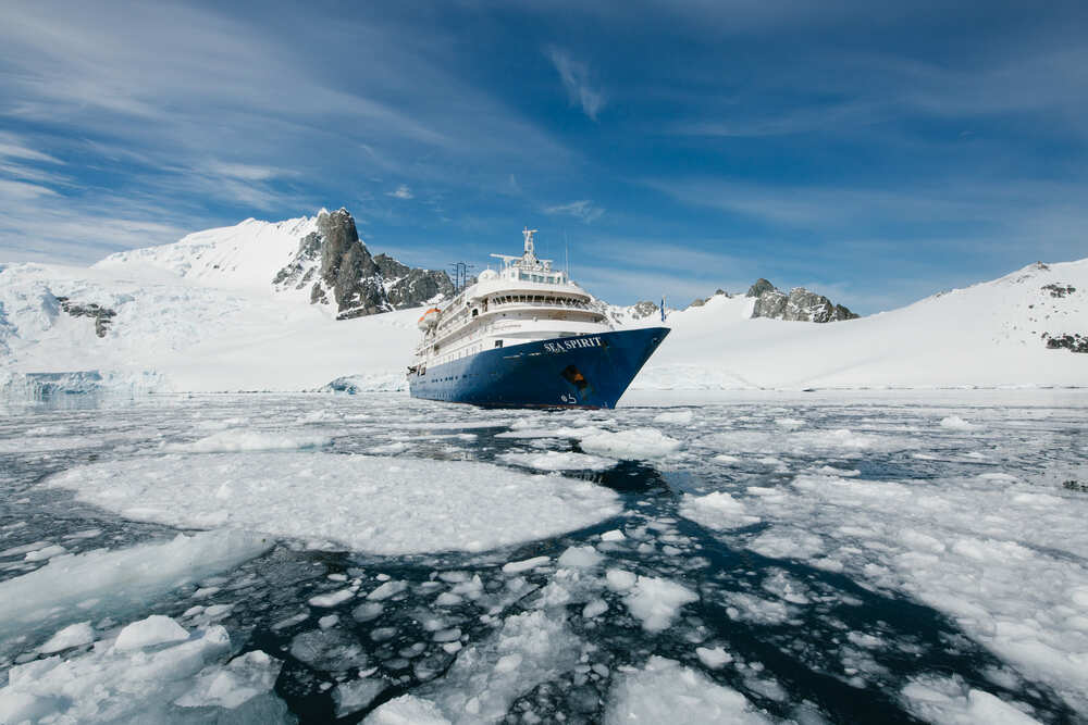 Antarctic Wildlife Adventure