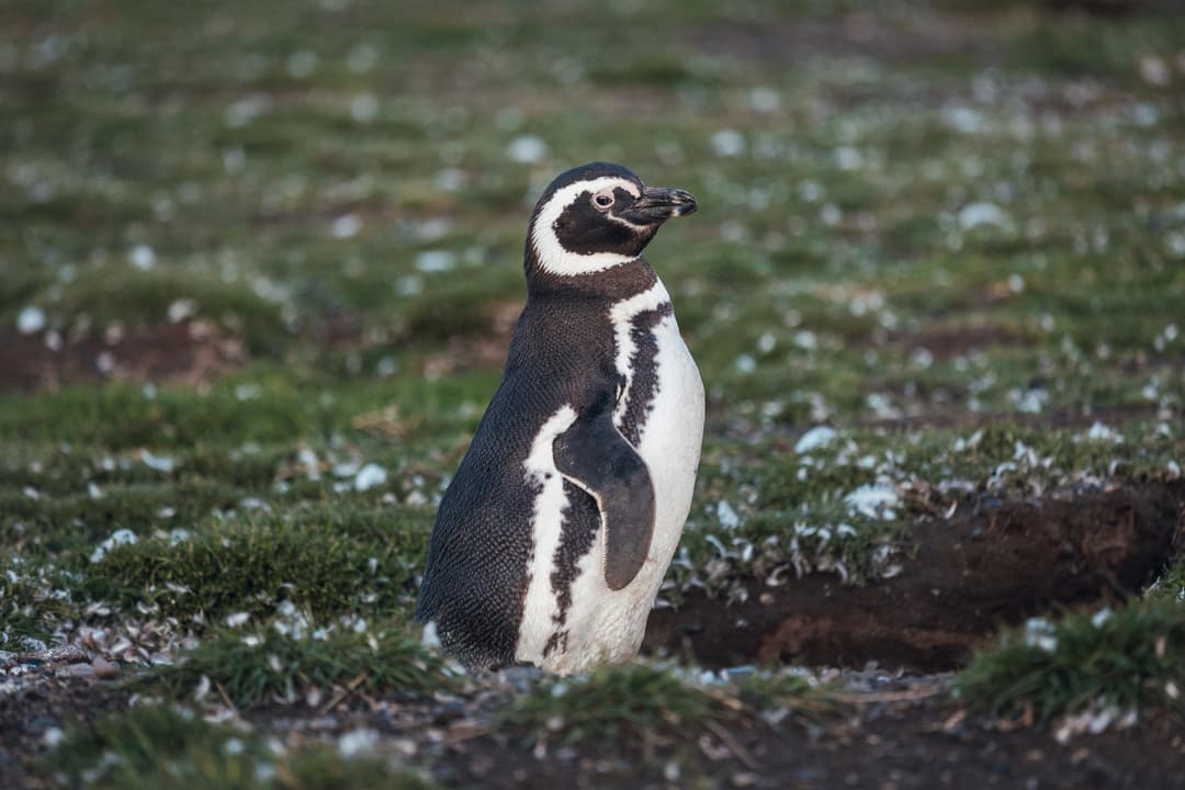 Australis Stella & Ventus Lifestyle ©Australis, Florian Grieger 14