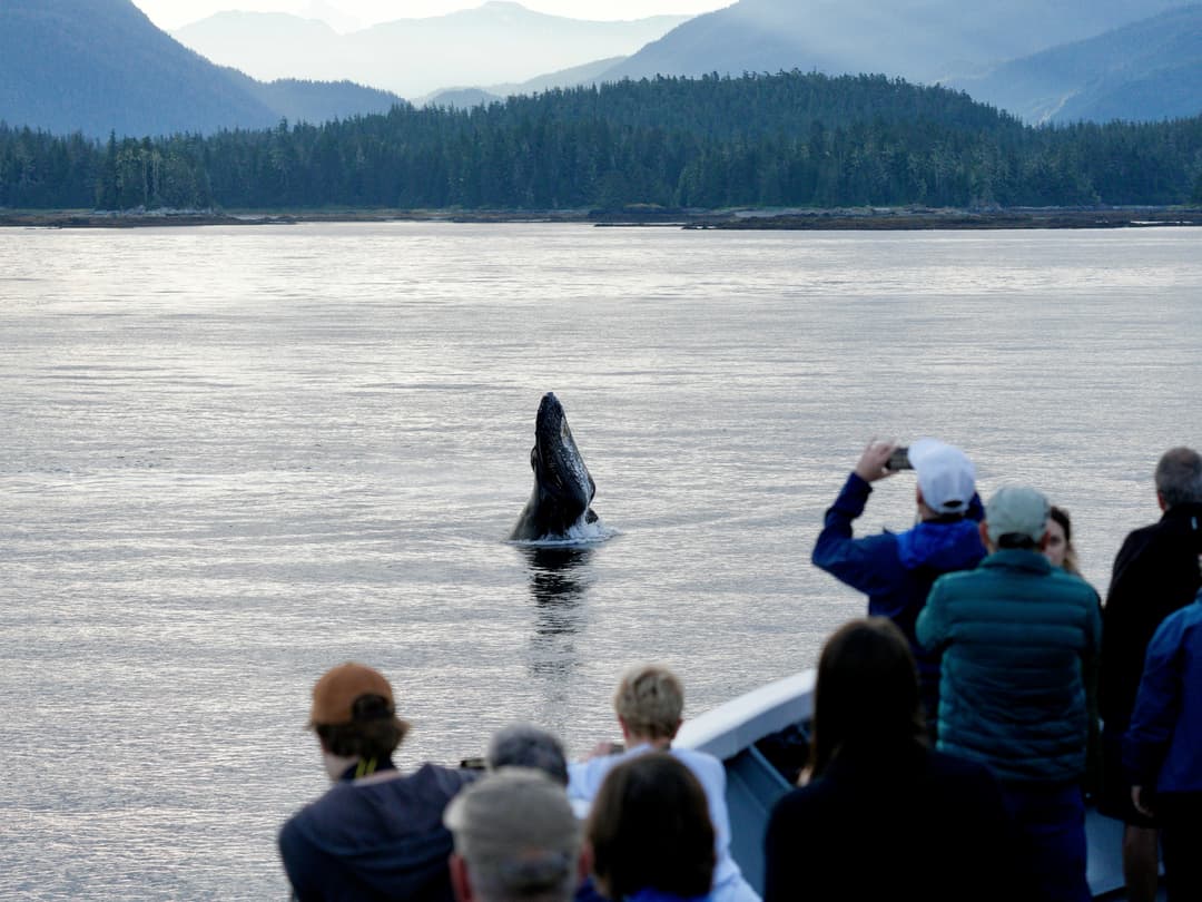 Ng Le Ng Quest Whale Exterior ©Jessie Johnson & Lindblad Expeditions