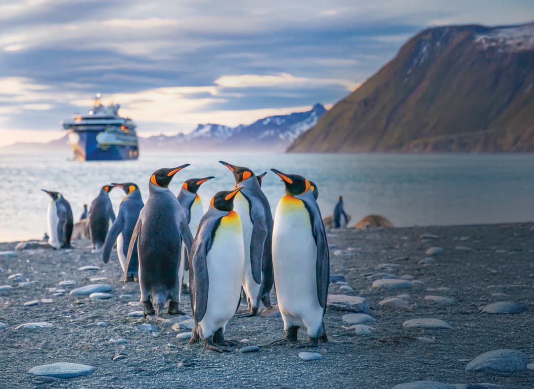 Ng Le Ng Endurance South Georgia Gold Harbour Exterior ©Andrew Peacock & Lindblad Expeditions