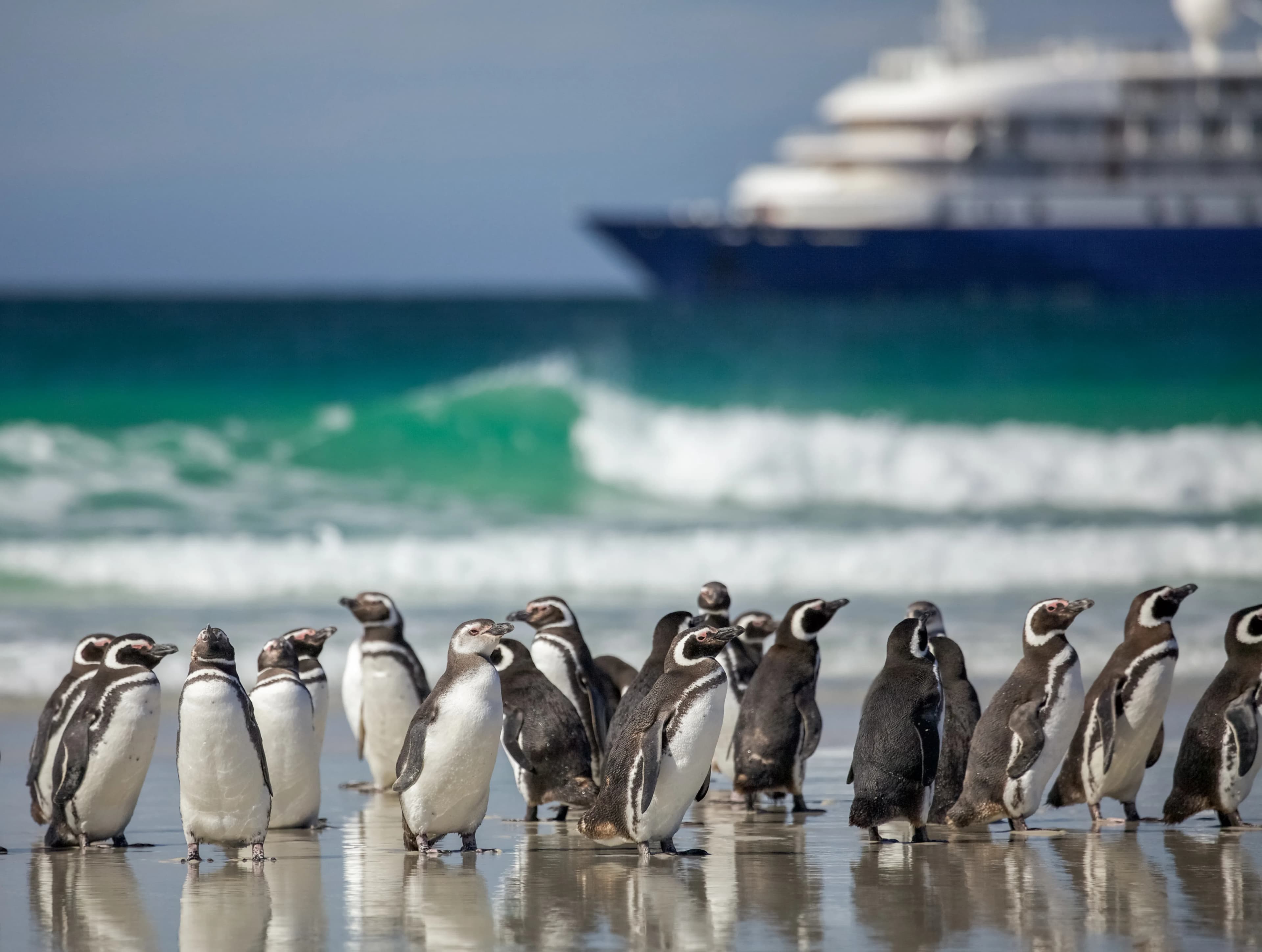 Epic Antarctica: The Falklands, South Georgia and Crossing the Circle