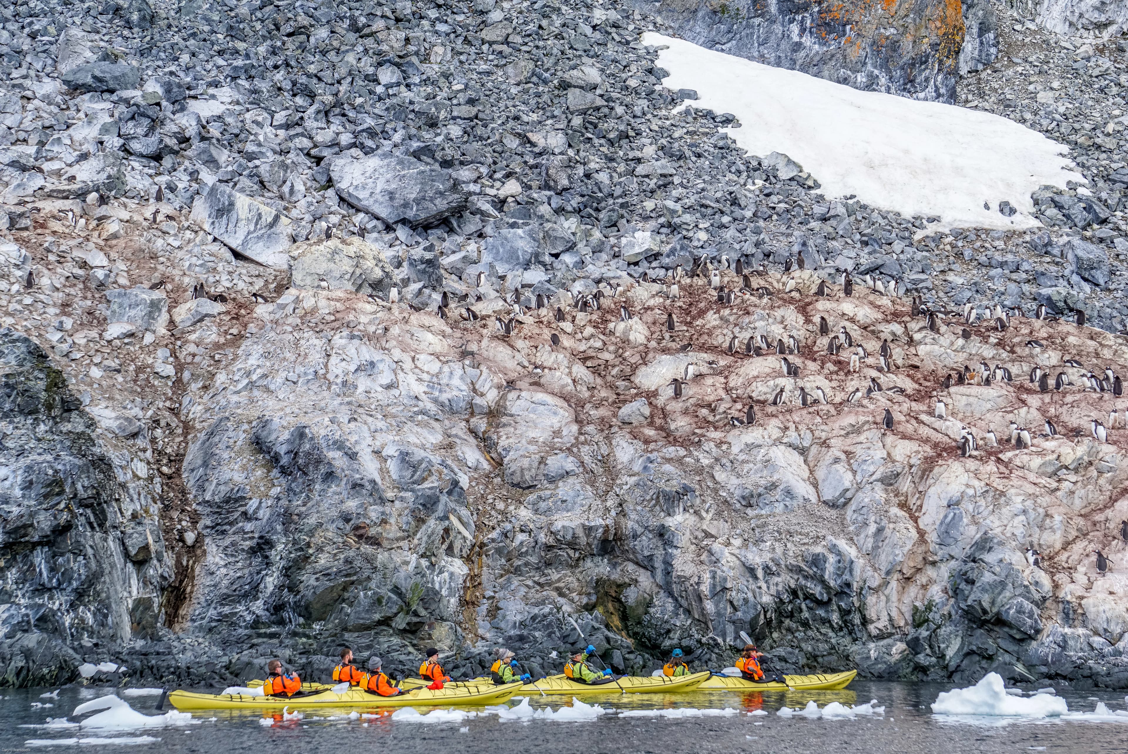 Essential Patagonia: Chilean Fjords and Torres del Paine