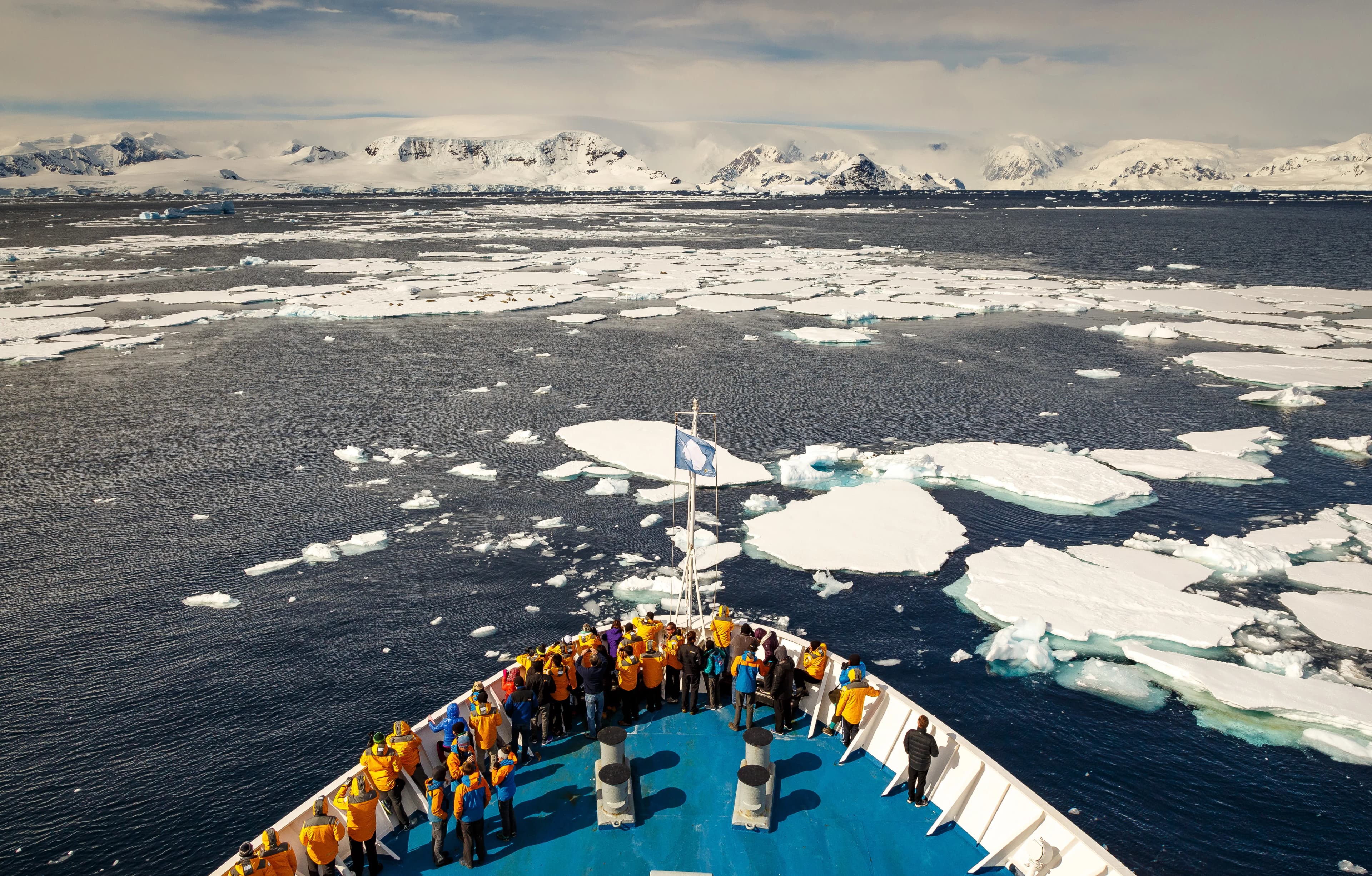 Antarctic Express: Fly the Drake