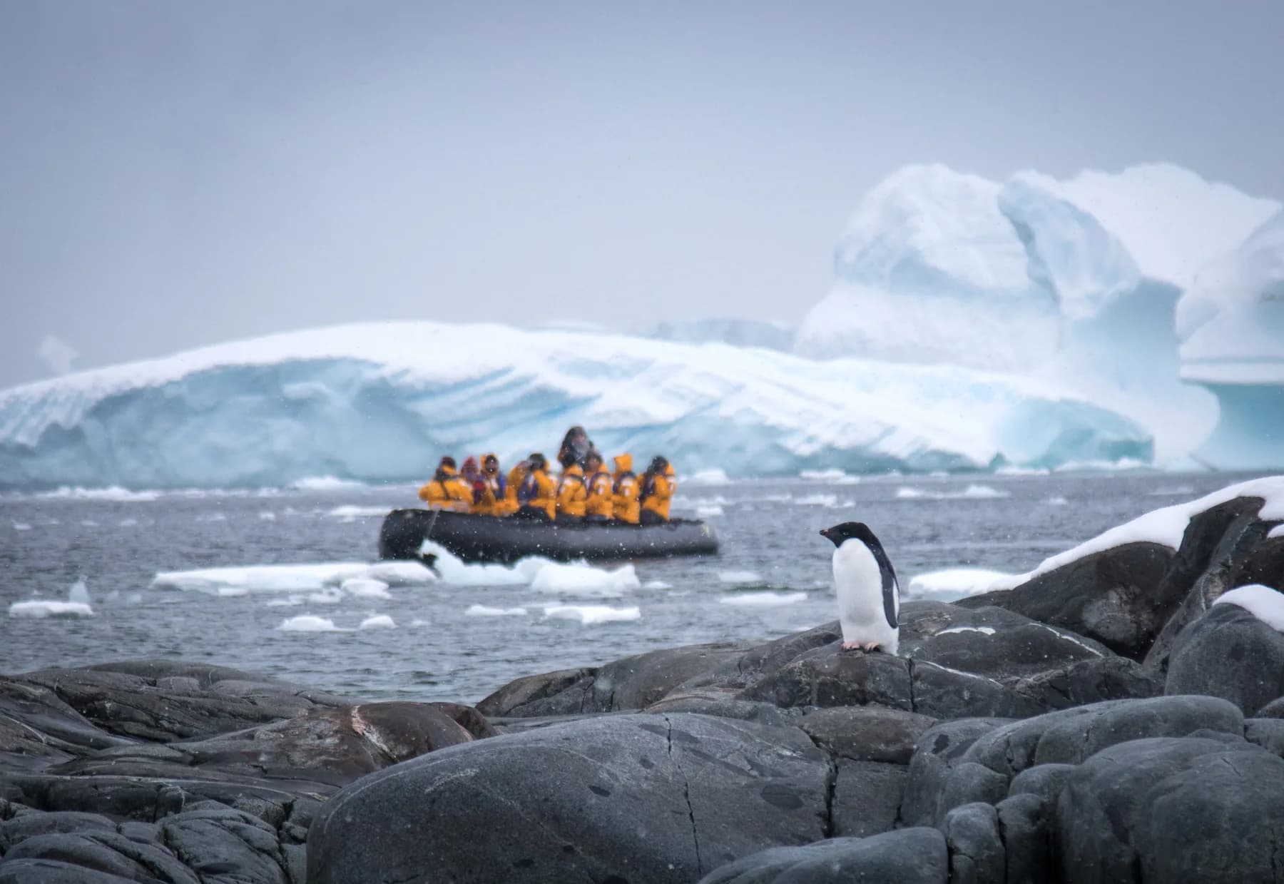 Antarctic Express: Sail South, Fly North