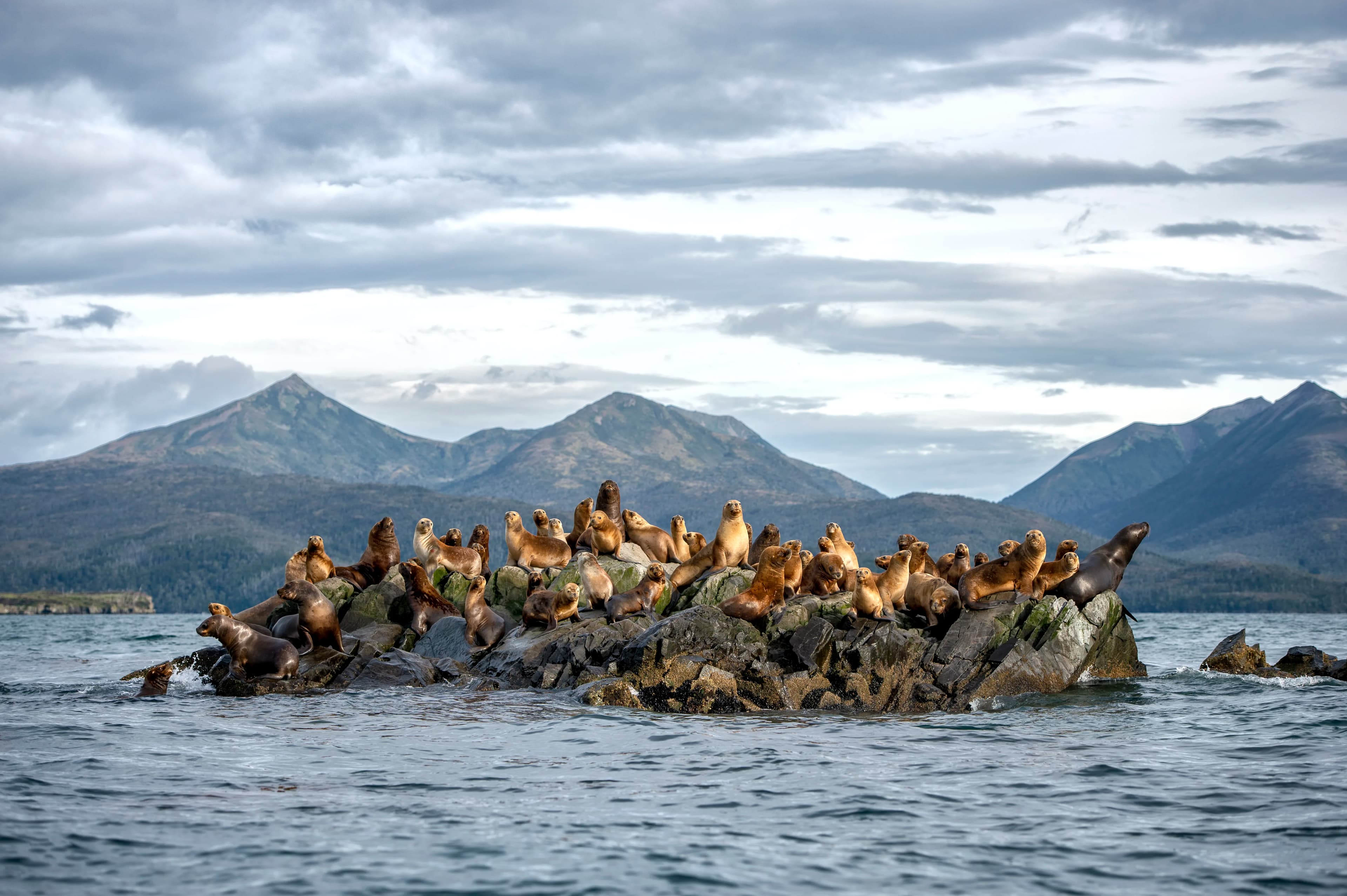 Essential Patagonia: Chilean Fjords and Torres del Paine