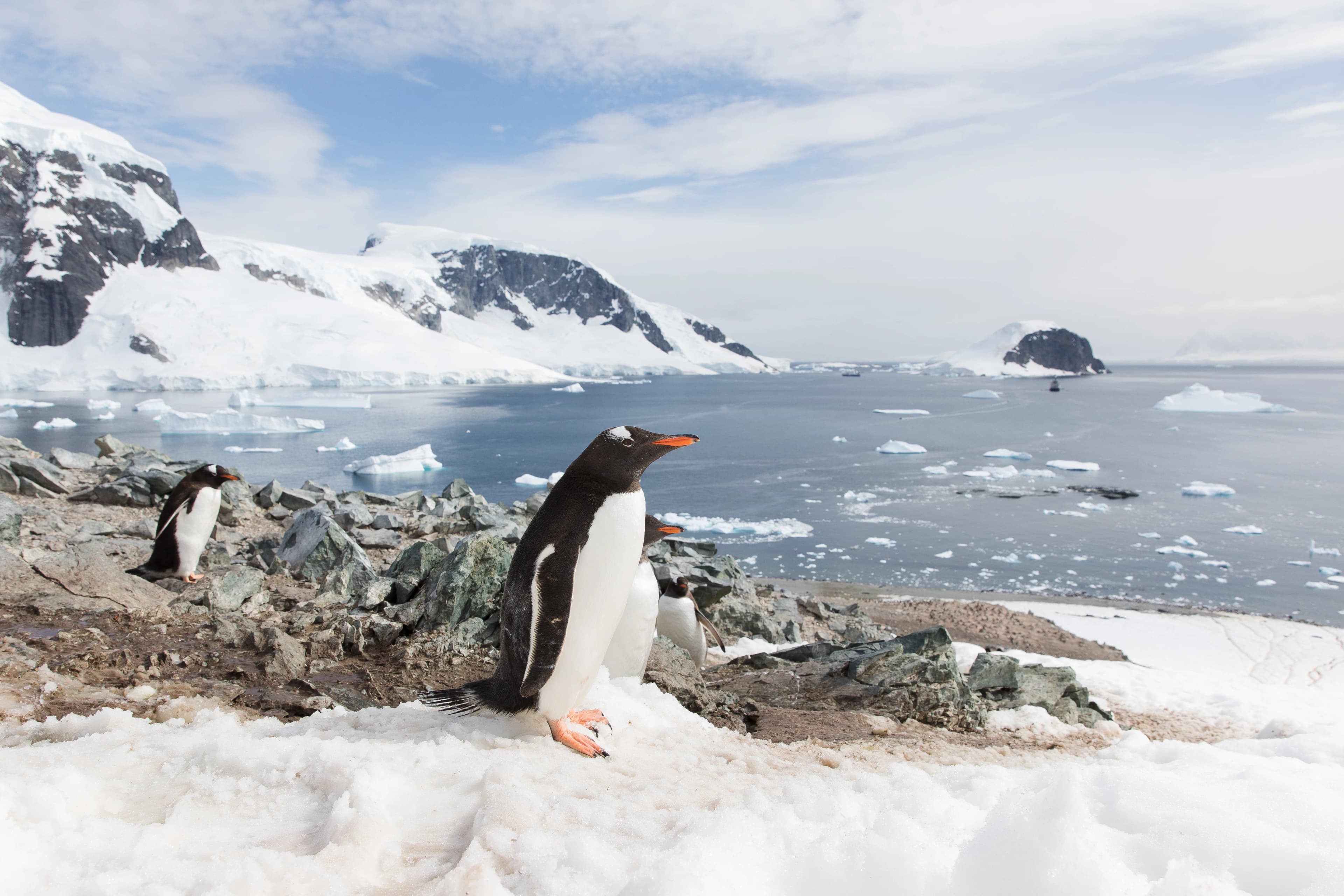 Antarctic Peninsula: Crossing the Circle