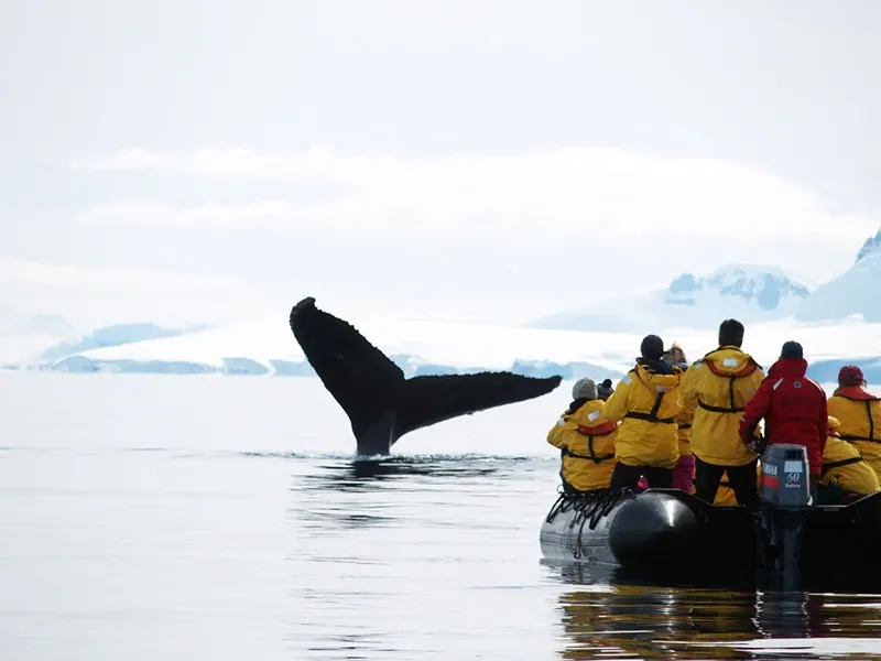Antarctic Peninsula: Crossing the Circle