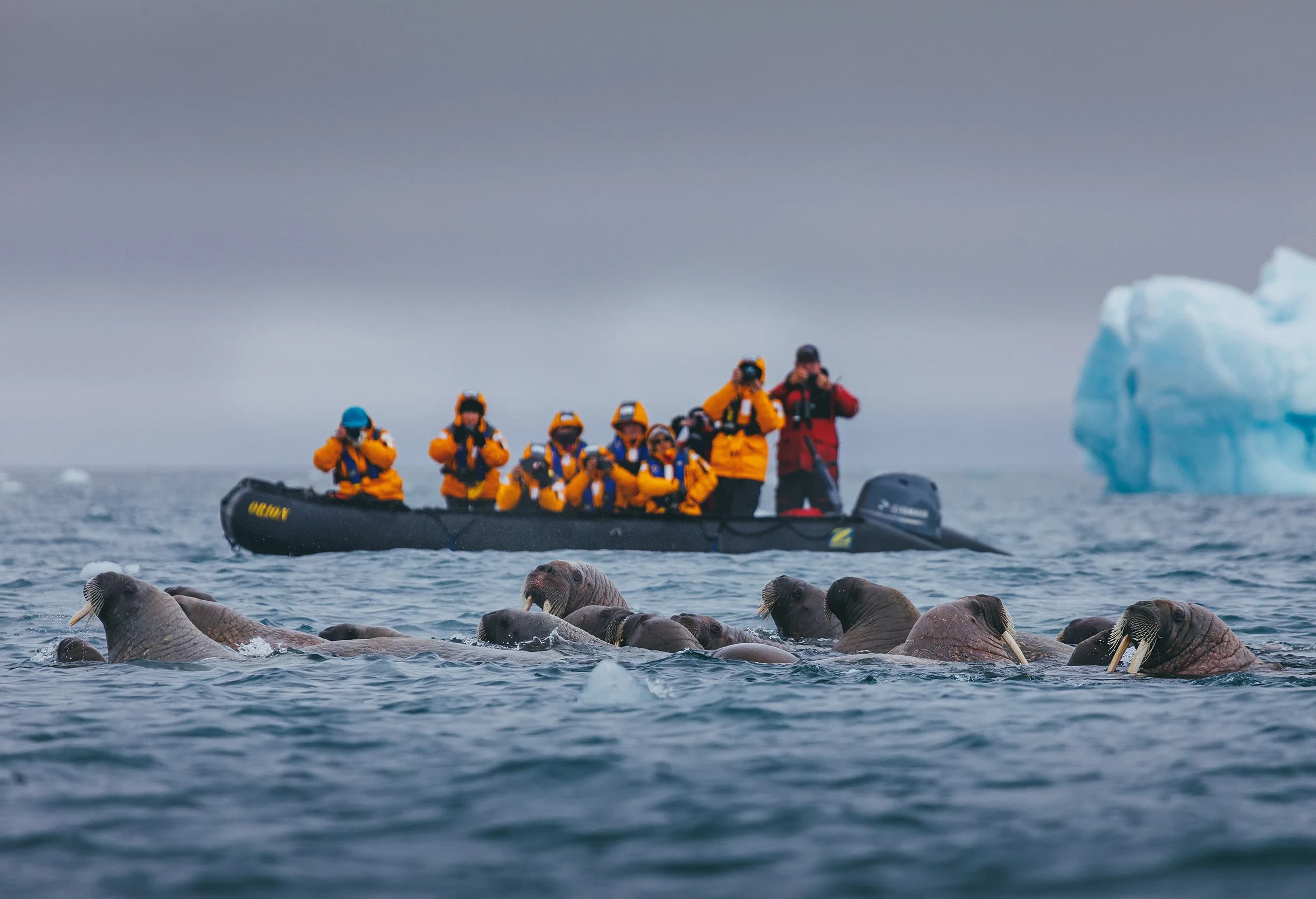 Spitsbergen Highlights: Wildlife Capital of the Arctic