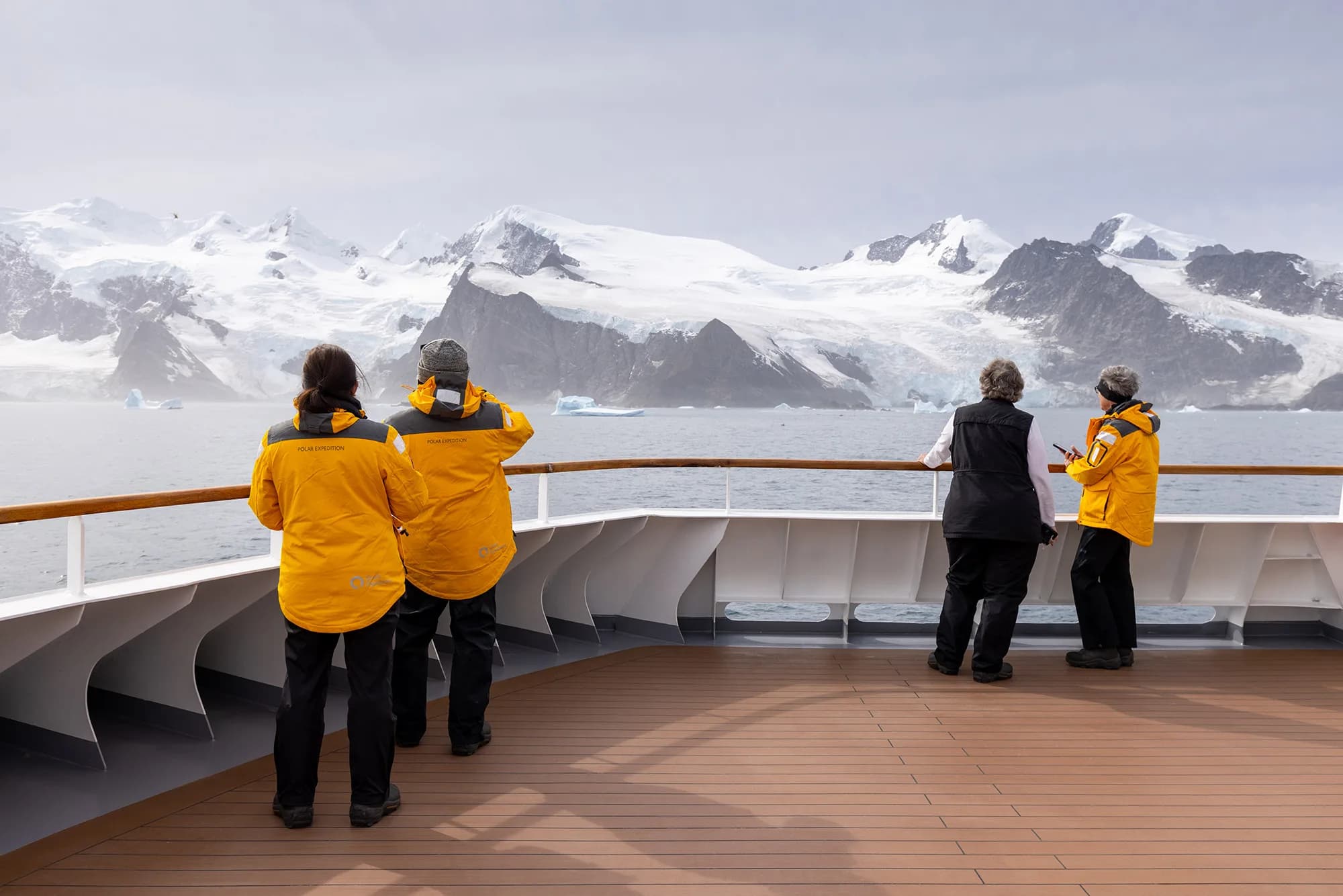 Antarctic Marine Mammals: The World of Whales and Seals