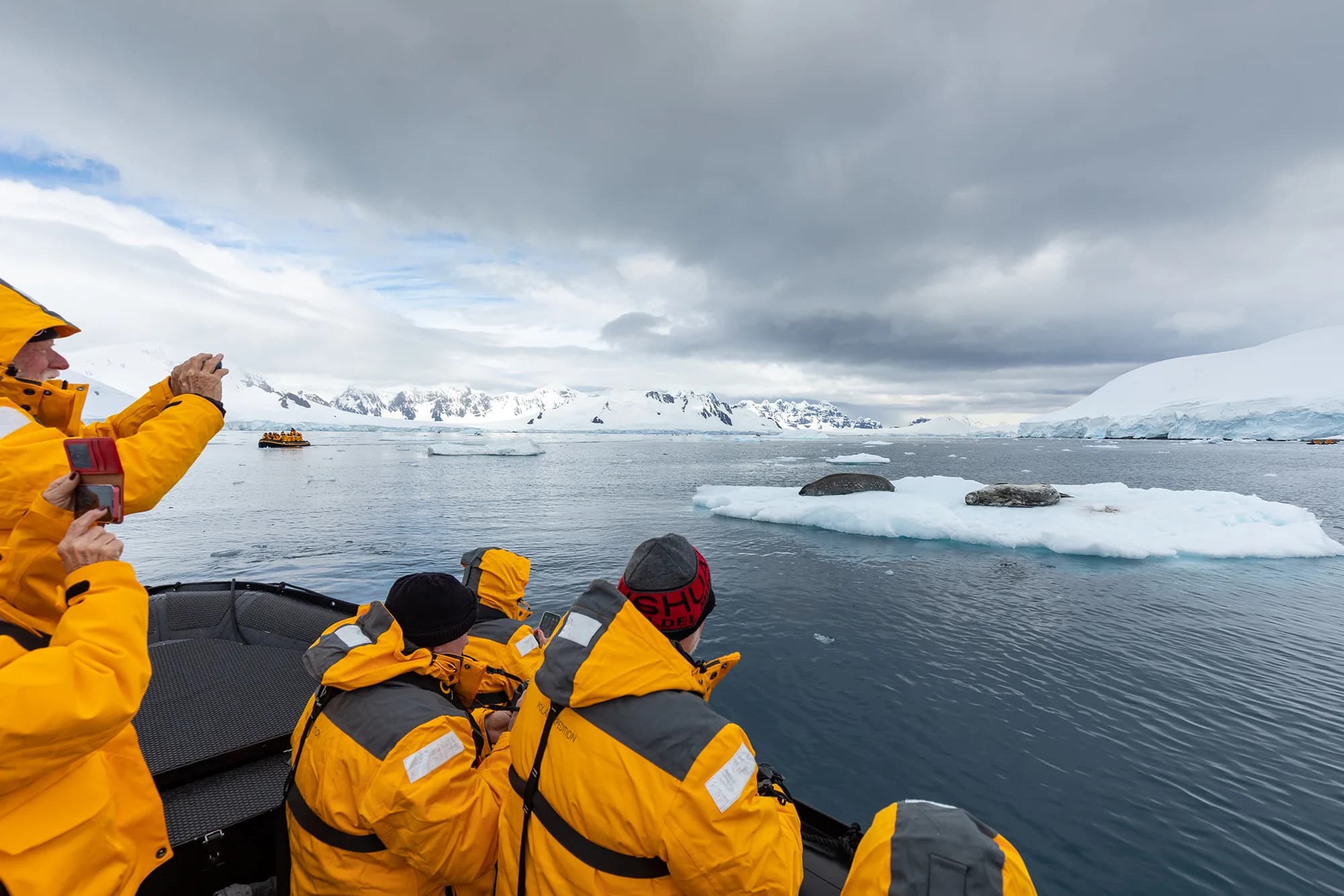 Antarctic Marine Mammals: The World of Whales and Seals