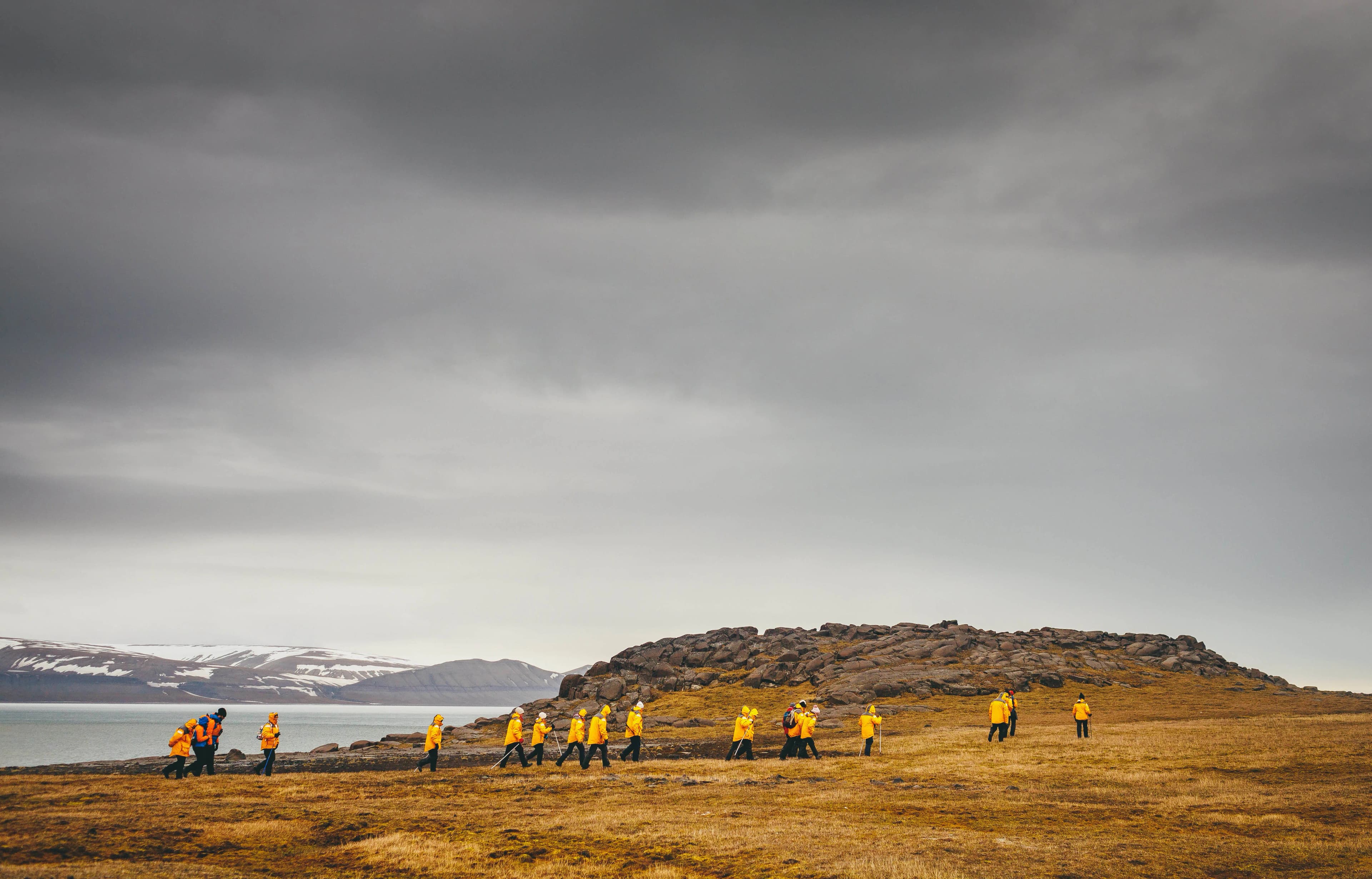 Svalbard in Summer: Tundra, Whales and the Midnight Sun