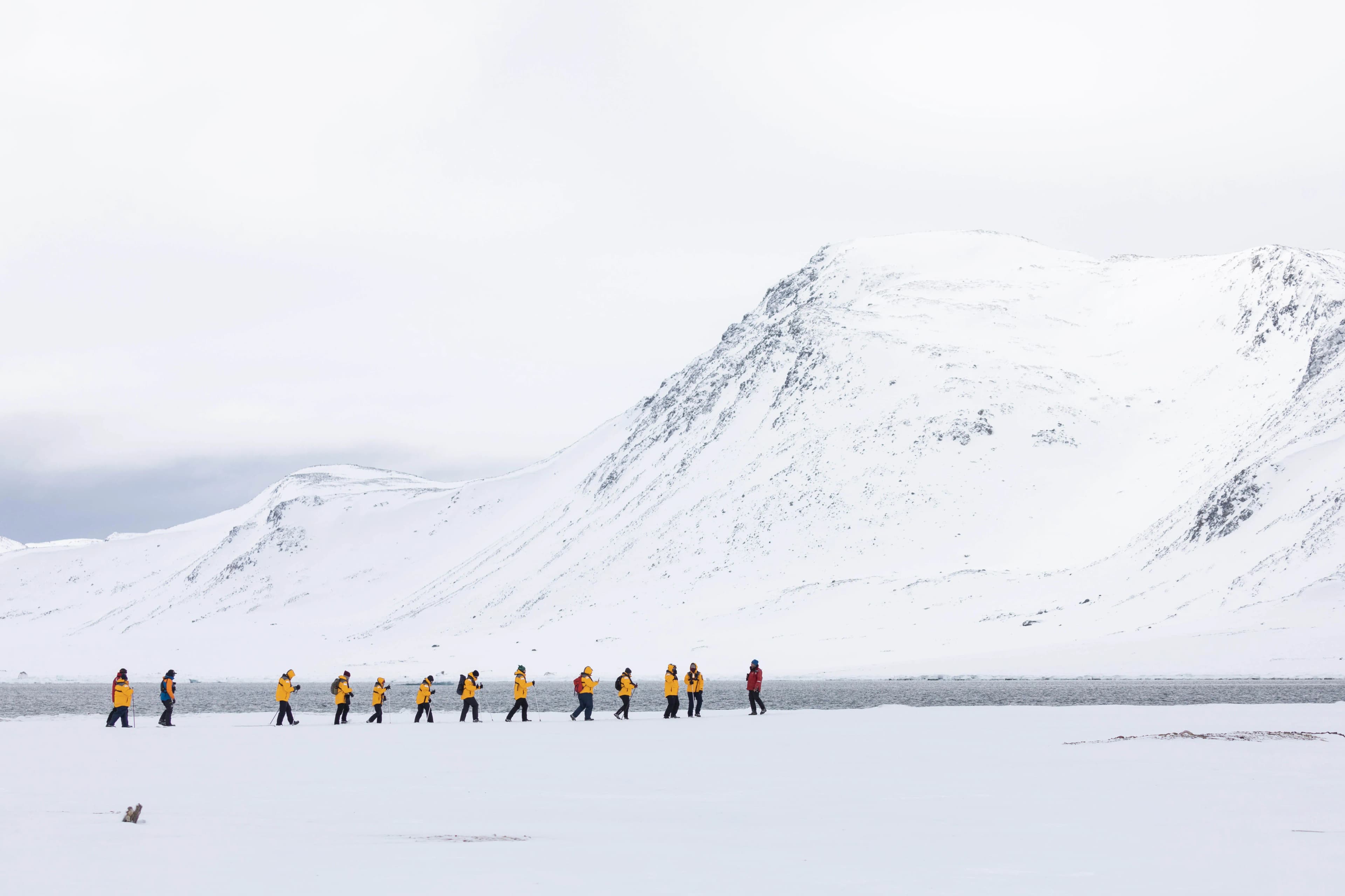 Svalbard in Spring: Sea Ice, Pristine Snow and Wildlife