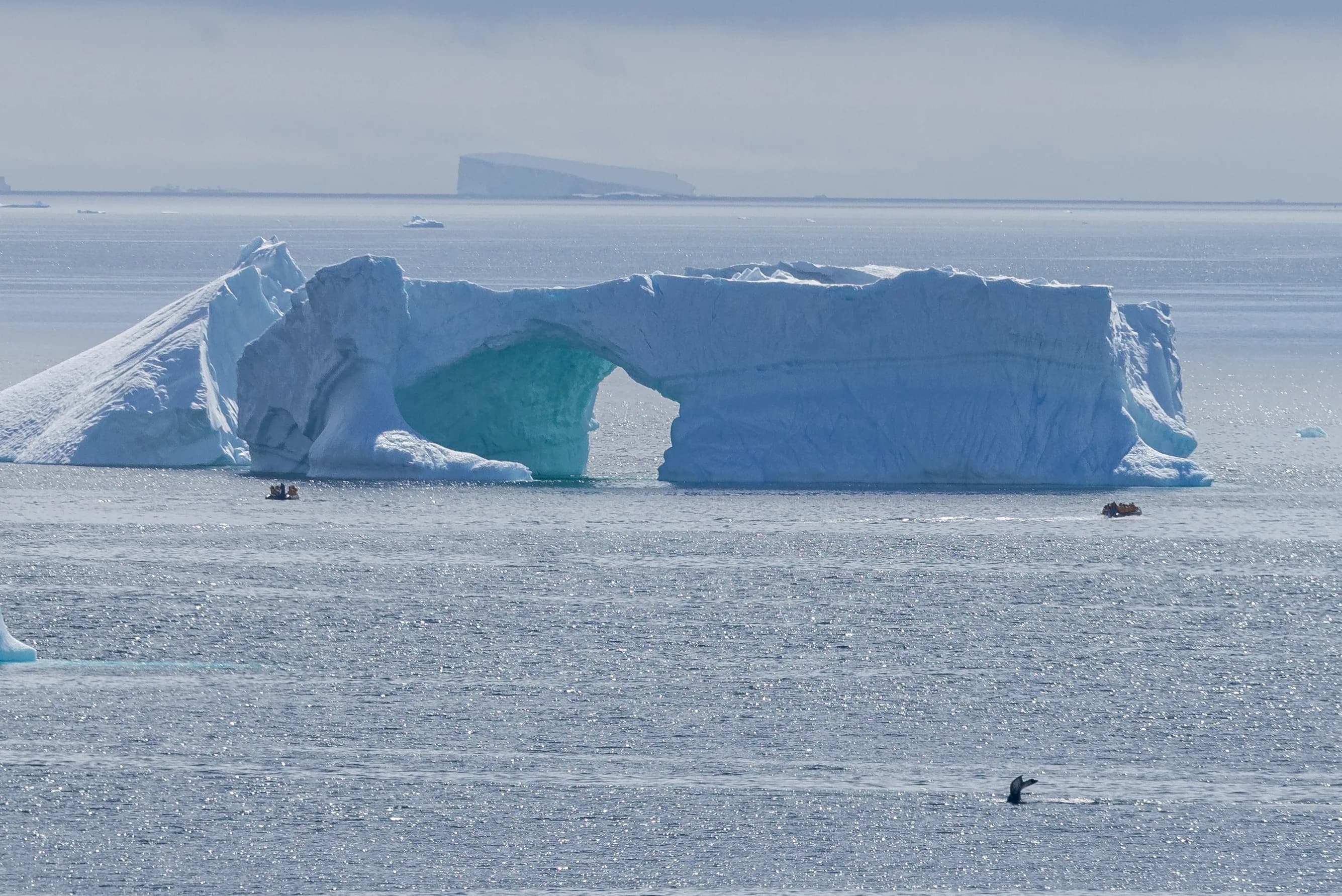 Antarctic Peninsula: A Rare Exploration of the Weddell Sea