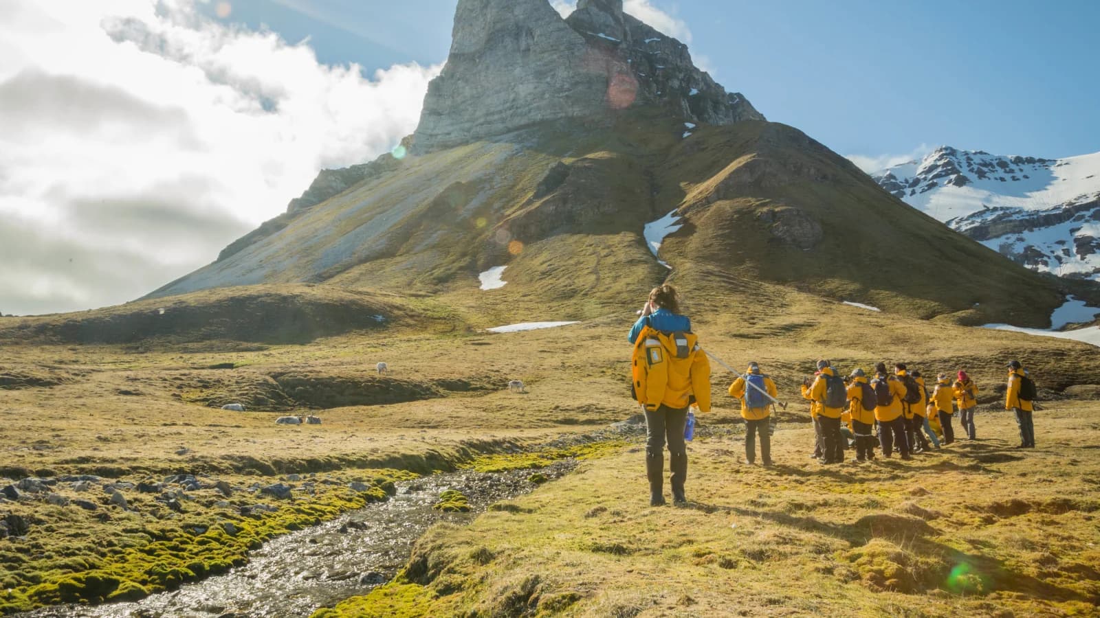 Svalbard in Summer: Tundra, Whales and the Midnight Sun
